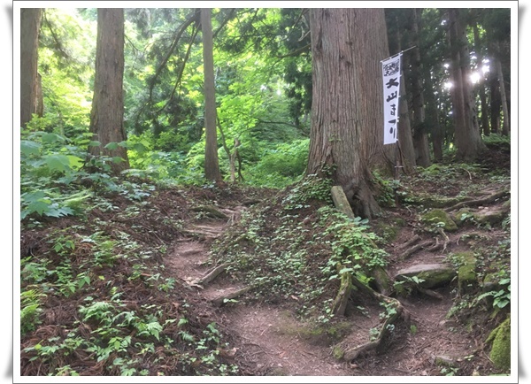 f:id:monster-cat:20210625220850j:plain