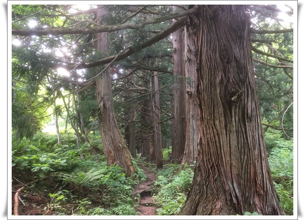 f:id:monster-cat:20210625220935j:plain