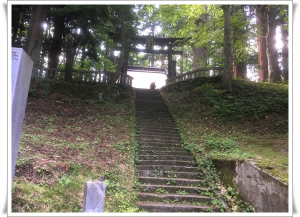 f:id:monster-cat:20210625221103j:plain