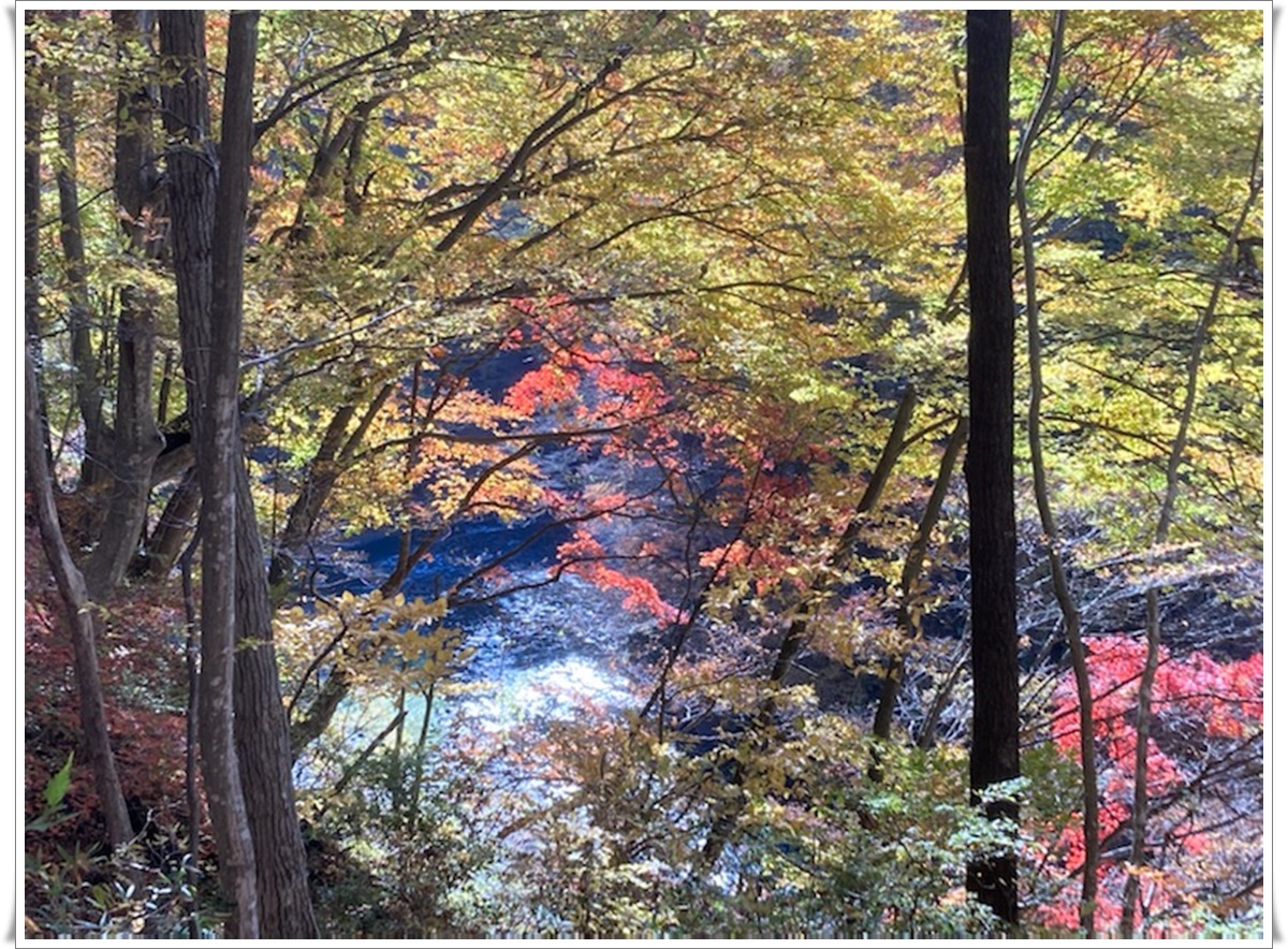 f:id:monster-cat:20211105164926j:plain