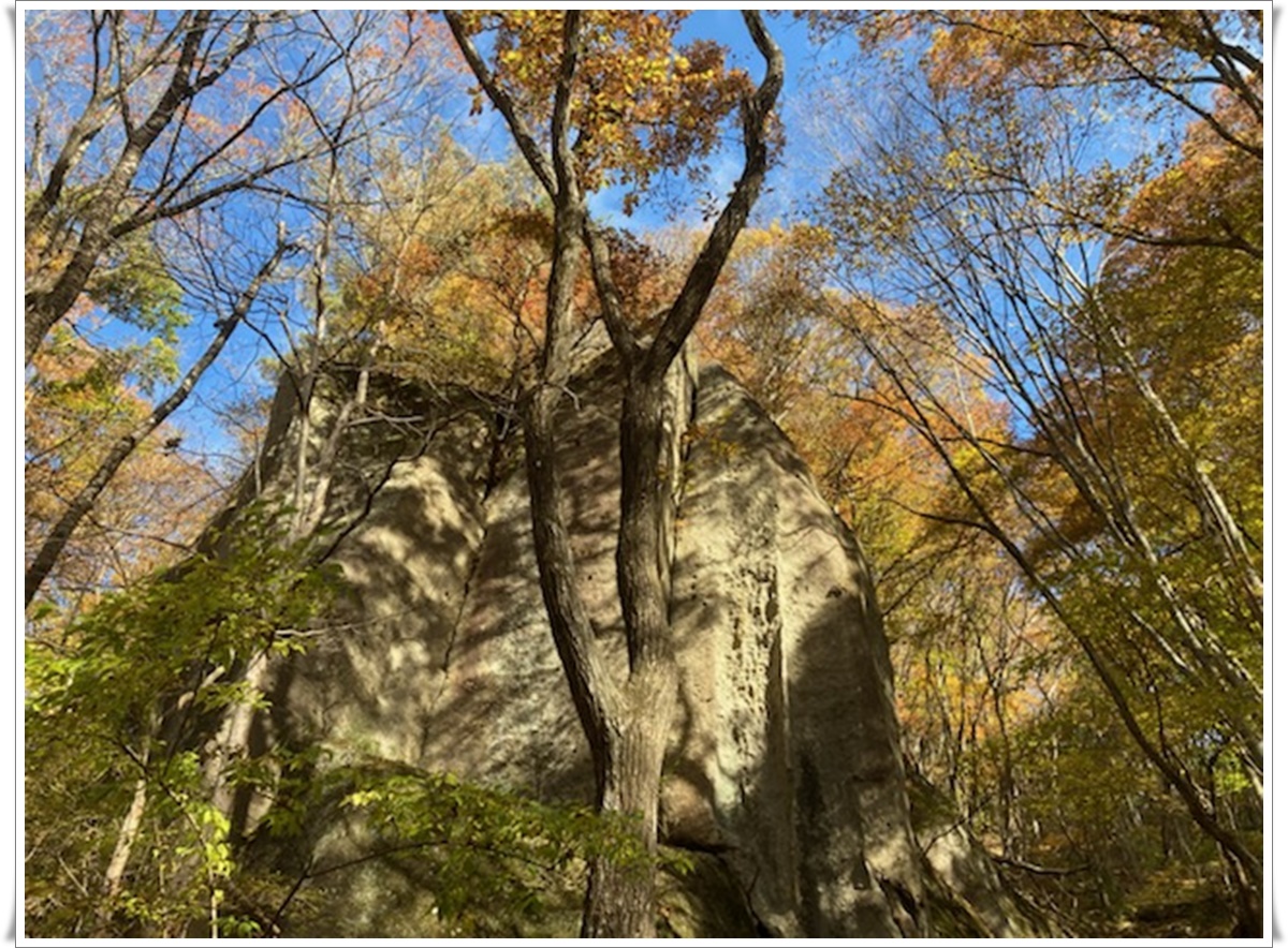 f:id:monster-cat:20211105164954j:plain