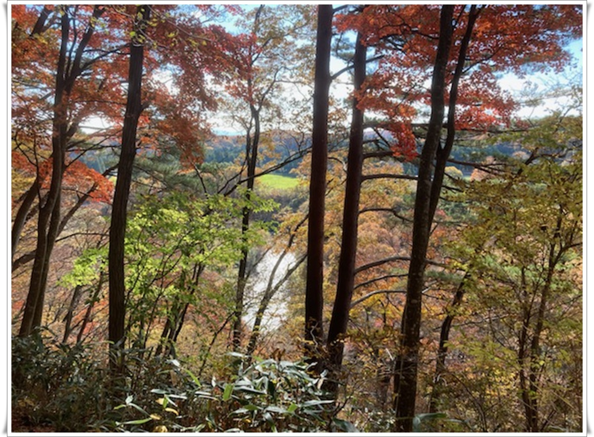 f:id:monster-cat:20211105165805j:plain