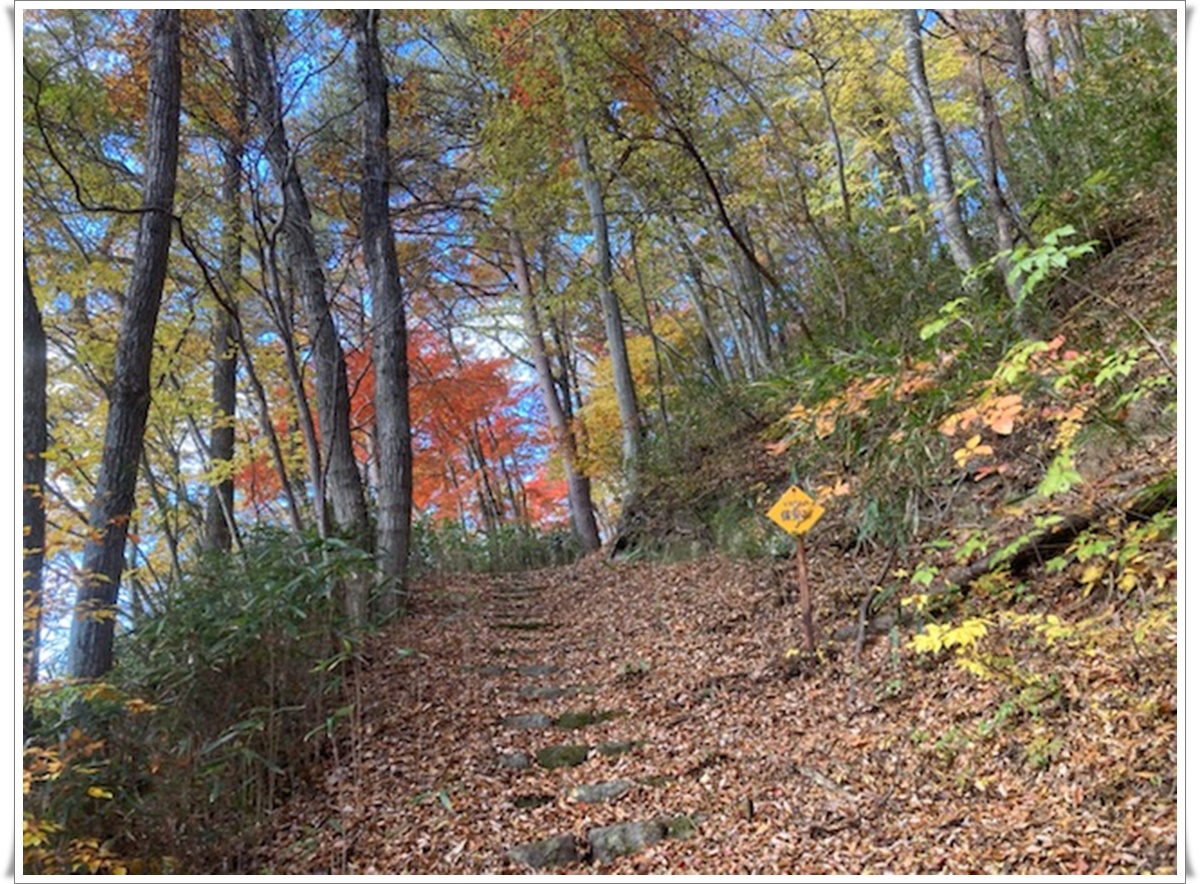 f:id:monster-cat:20211105170036j:plain