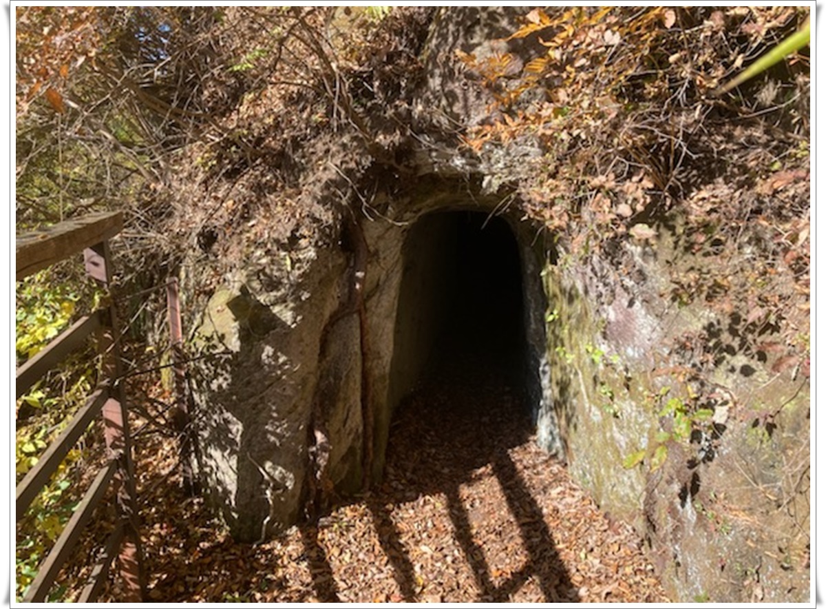 f:id:monster-cat:20211105170746j:plain