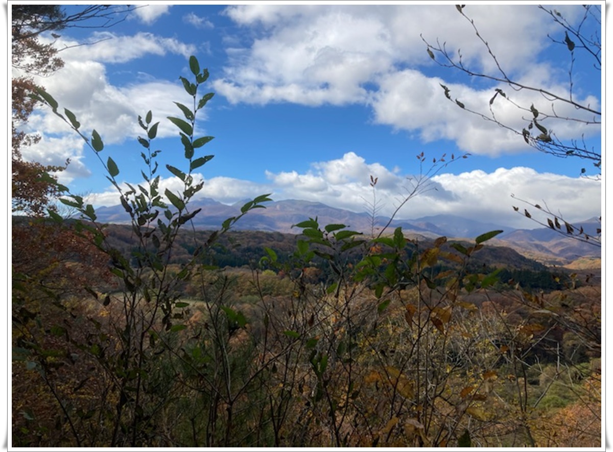 f:id:monster-cat:20211105170929j:plain