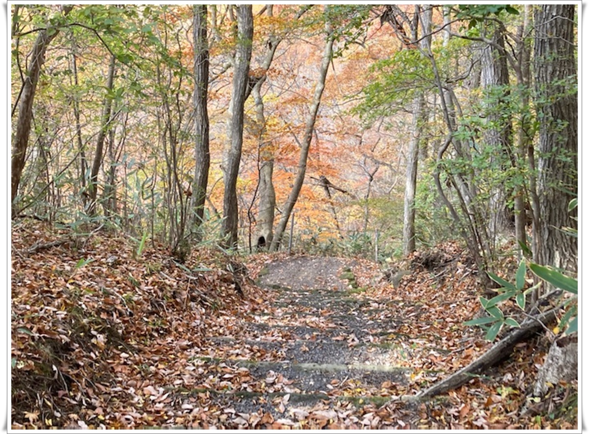 f:id:monster-cat:20211105171129j:plain