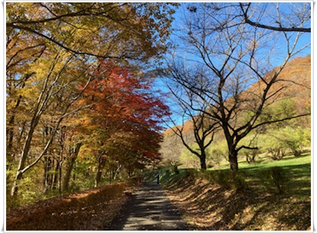 f:id:monster-cat:20211105171220j:plain