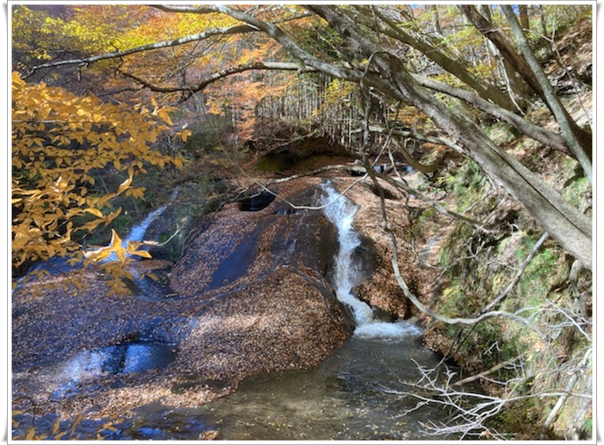 f:id:monster-cat:20211105171343j:plain