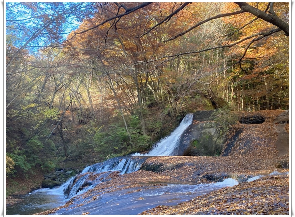 f:id:monster-cat:20211105171624j:plain