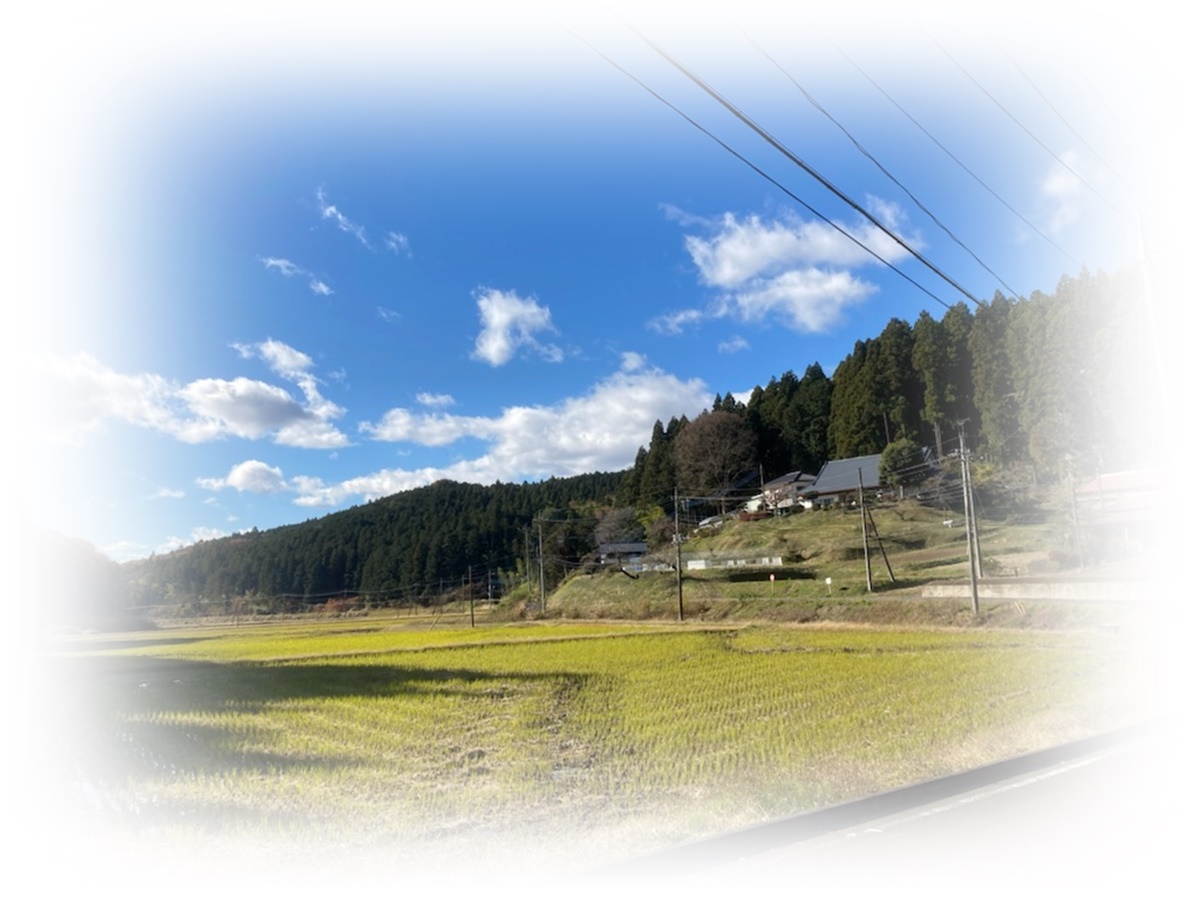 f:id:monster-cat:20211128155738j:plain