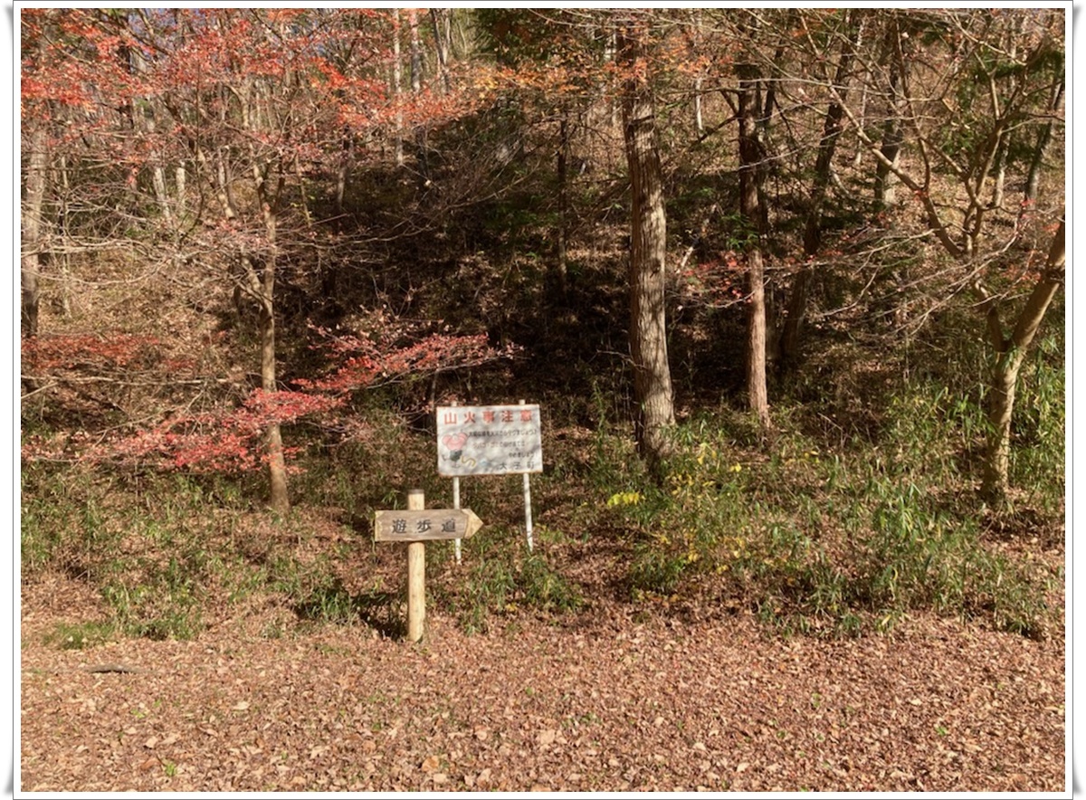 f:id:monster-cat:20211207210711j:plain