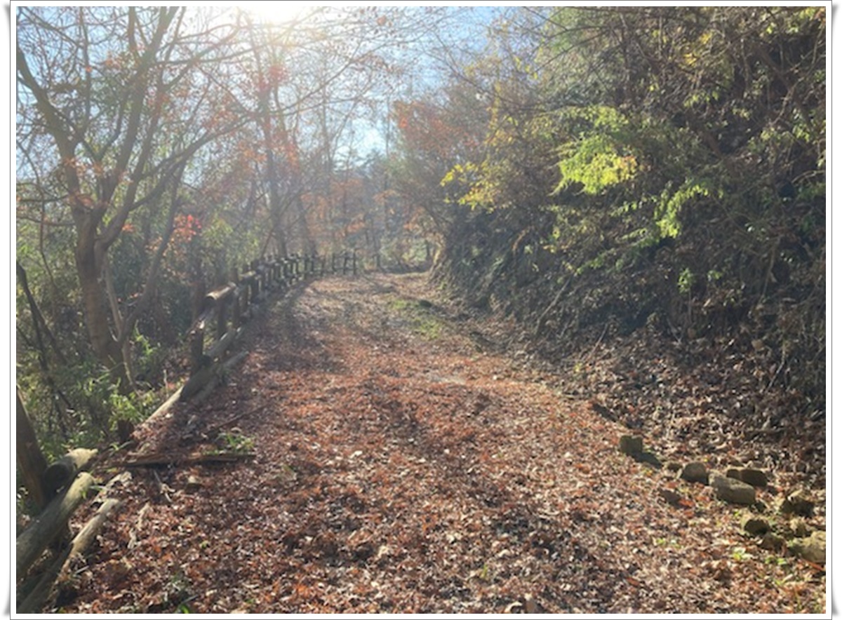 f:id:monster-cat:20211207210923j:plain