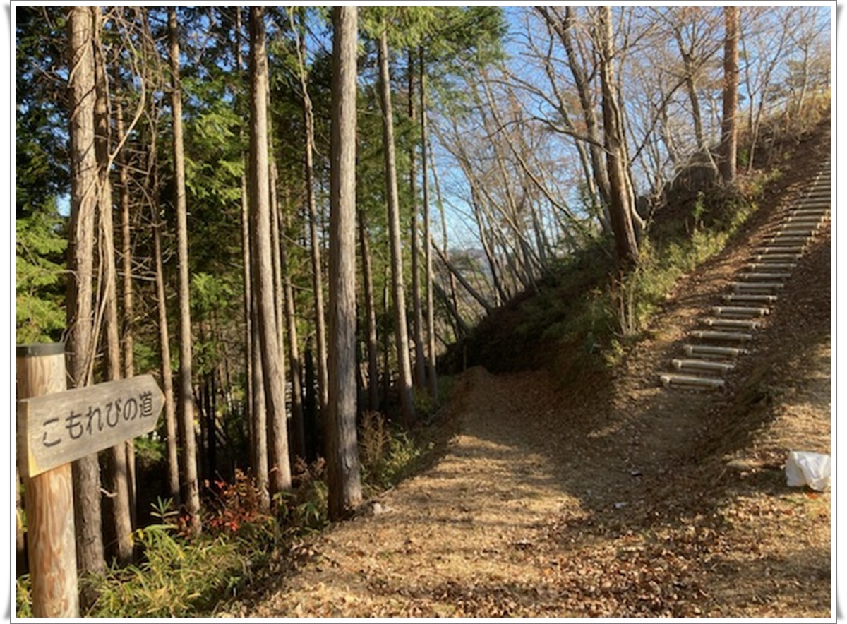 f:id:monster-cat:20211207211013j:plain