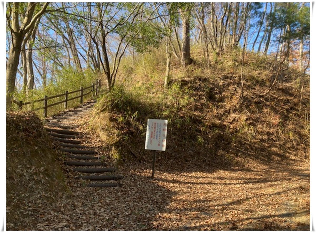 f:id:monster-cat:20211207211154j:plain