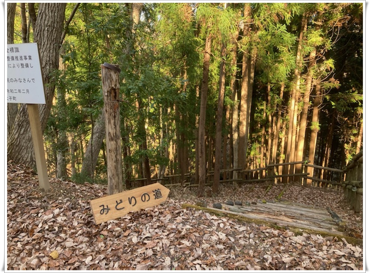 f:id:monster-cat:20211207211310j:plain