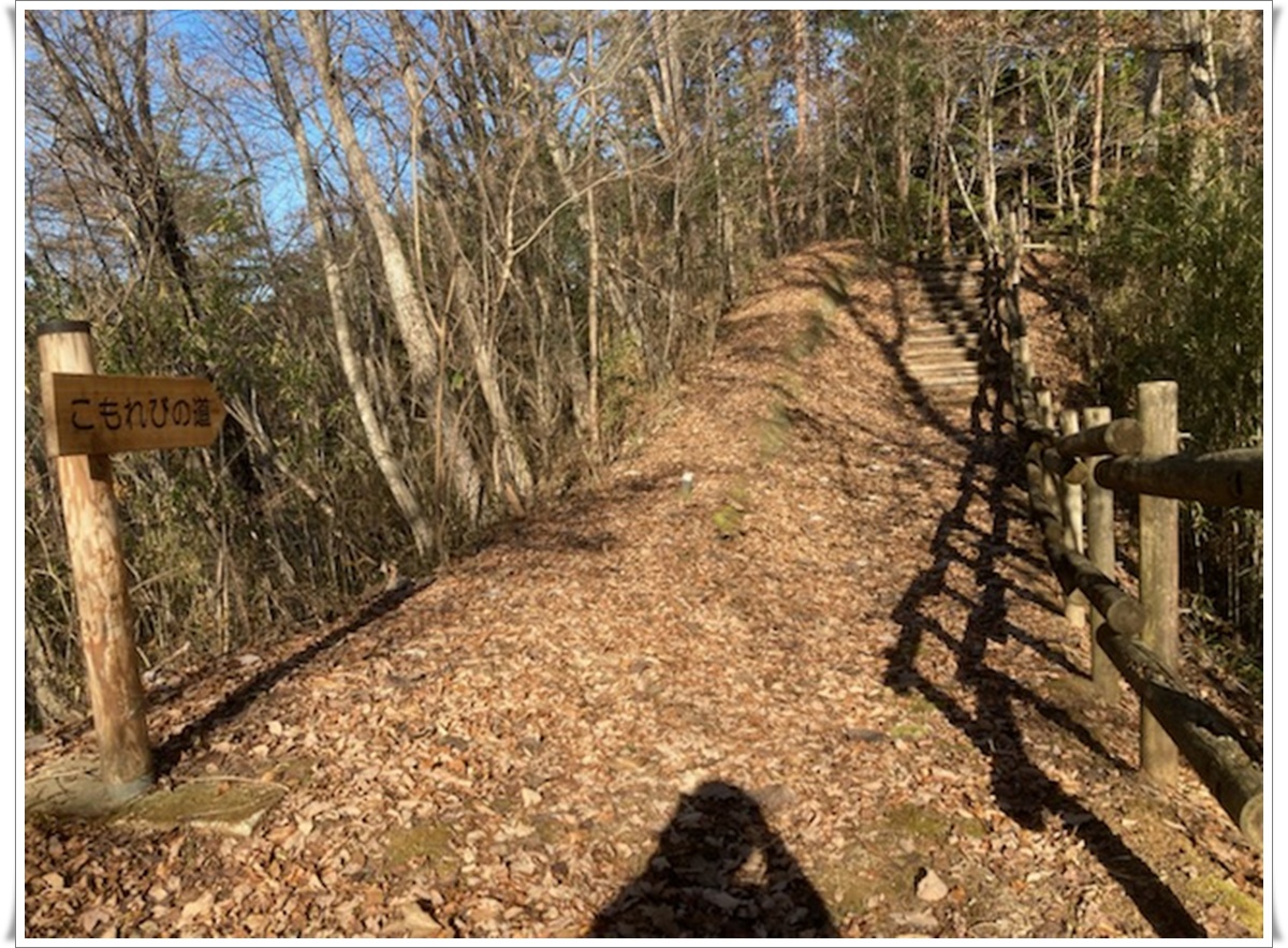 f:id:monster-cat:20211207211425j:plain