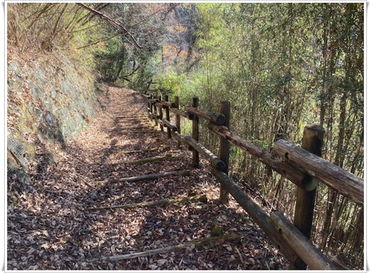 f:id:monster-cat:20211207211555j:plain