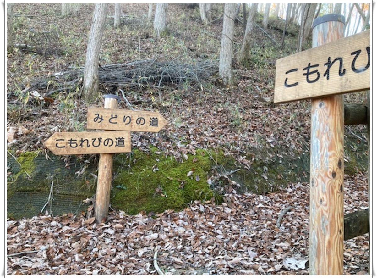 f:id:monster-cat:20211207211738j:plain