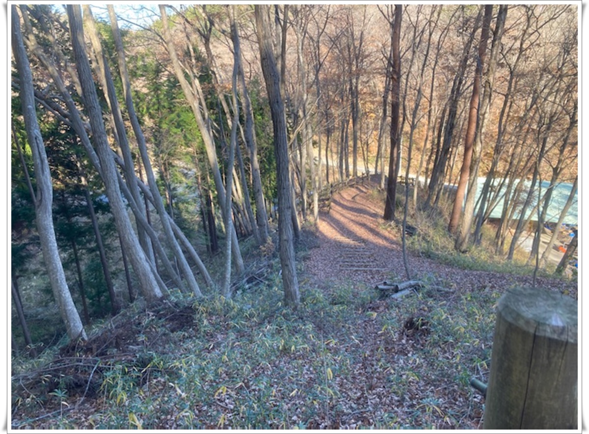 f:id:monster-cat:20211207211848j:plain