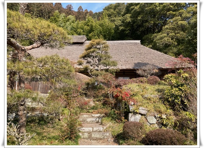 f:id:monster-cat:20220312165616j:plain