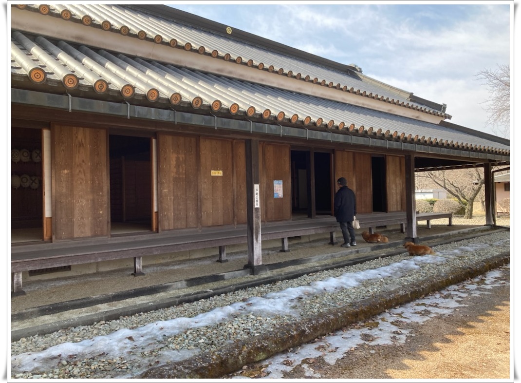 f:id:monster-cat:20220312170433j:plain