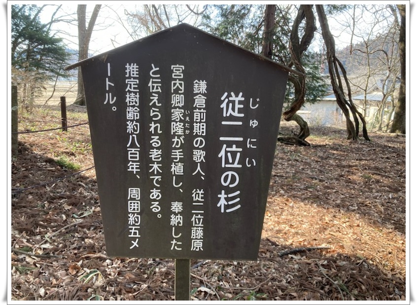 f:id:monster-cat:20220312171634j:plain