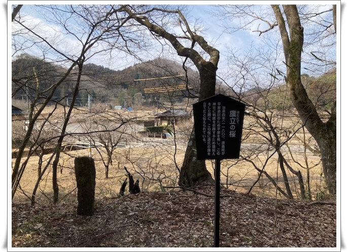 f:id:monster-cat:20220312171721j:plain