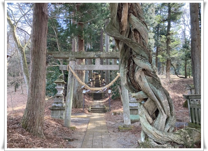 f:id:monster-cat:20220312172355j:plain