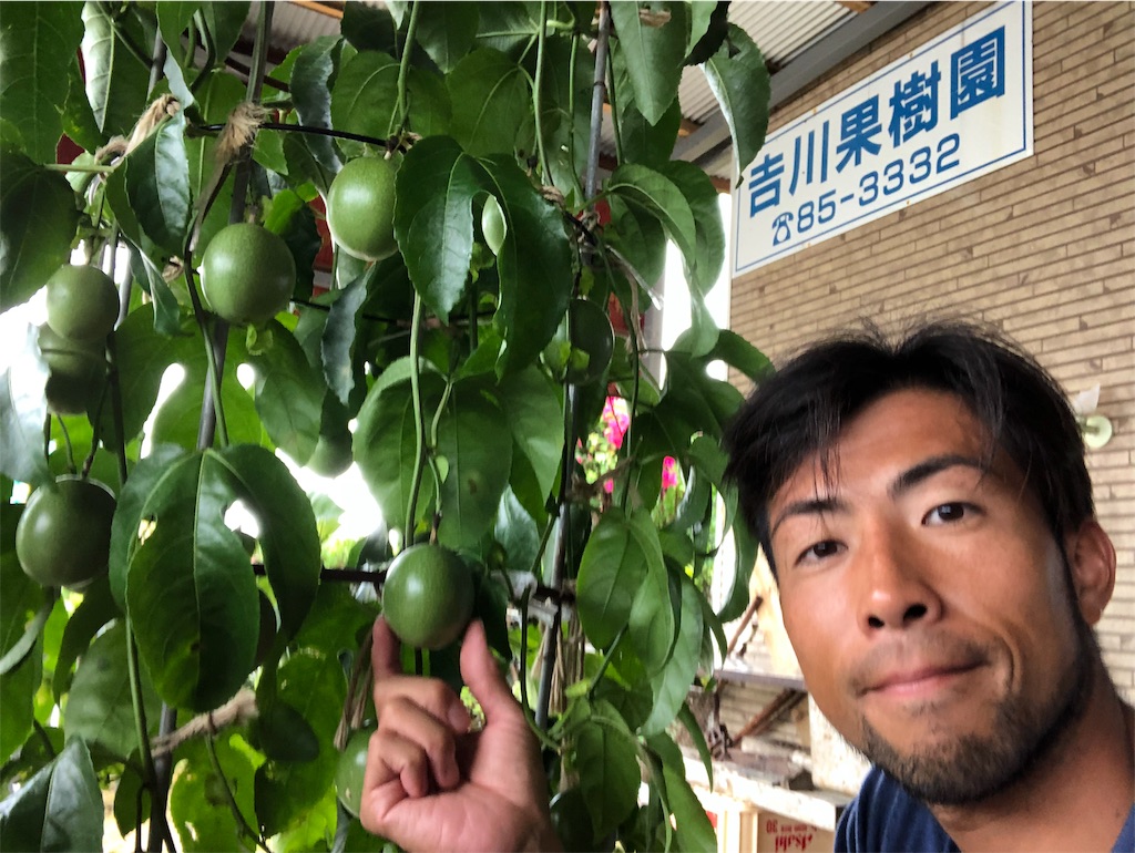 f:id:monsterbikers:20190628072154j:image