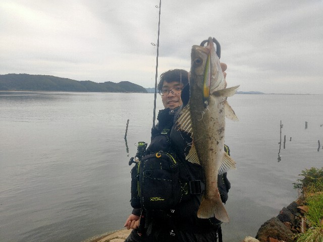 宍道湖　中海シーバス完全ガイド　入手困難 潜水道路】宍道湖シーバスポイントマップ【宍道湖南岸エリア】