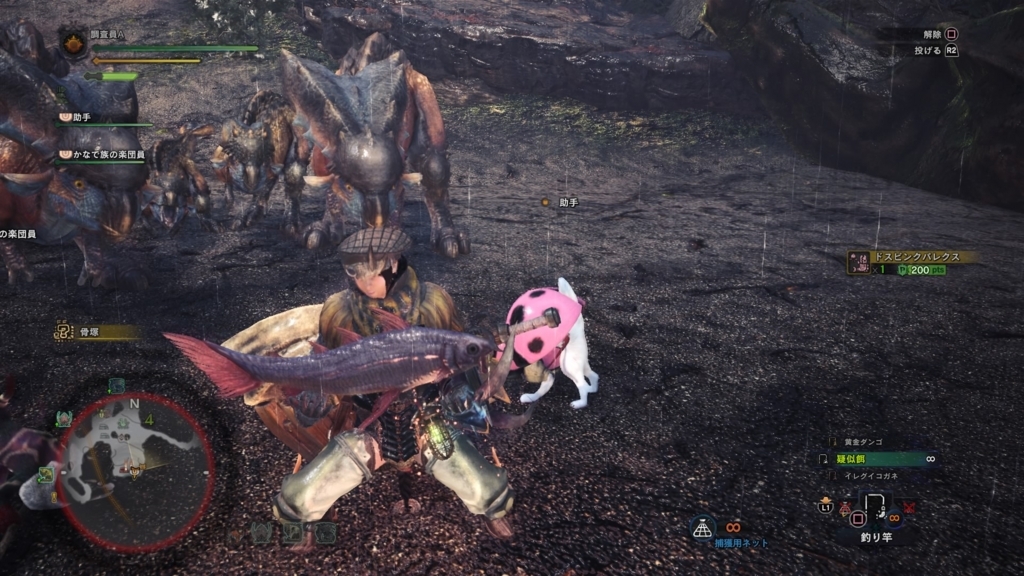 Mhw 環境生物 ドスピンクパレクス 調査 Mhw調査員aの調査記録