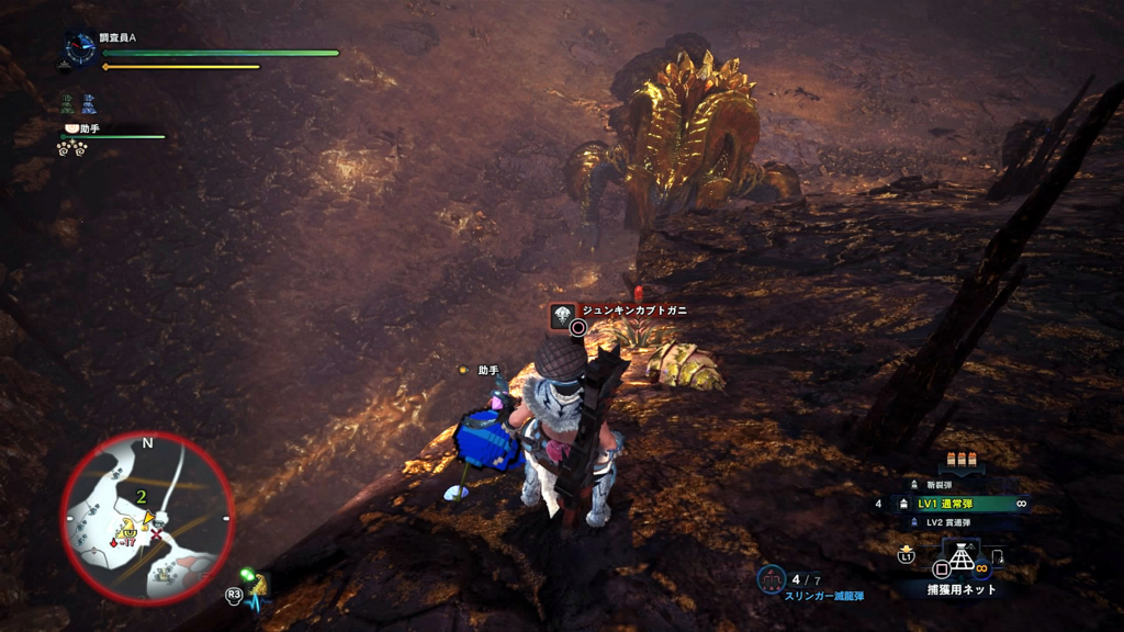 f:id:monsterhunteraaa:20180424160136j:plain f:id:monsterhunteraaa:20180424160136j:plain