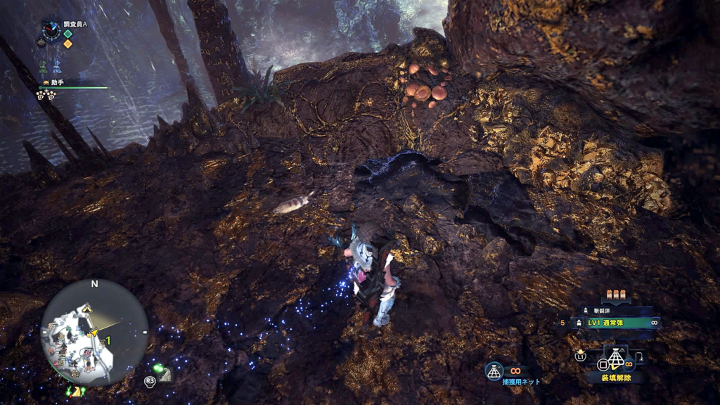 f:id:monsterhunteraaa:20180425180404j:plain f:id:monsterhunteraaa:20180425180404j:plain