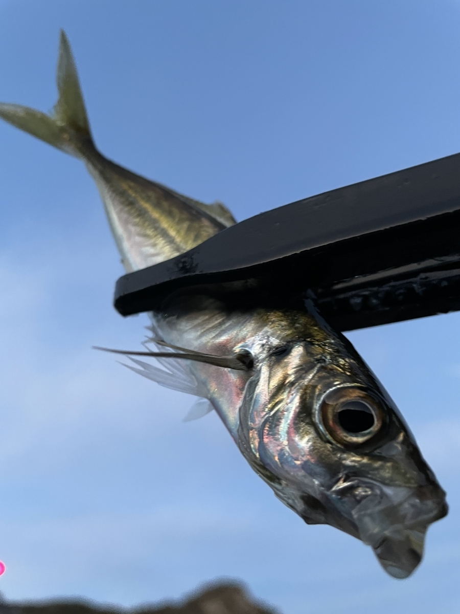 f:id:monsyo-niiyan:20220201001857j:plain