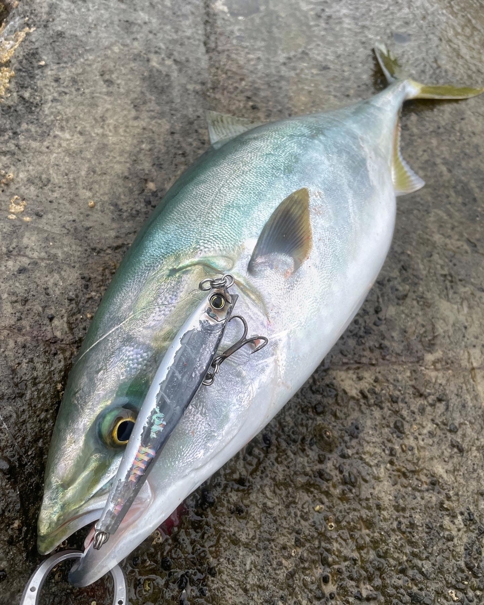 ロックショア　ルアー 磯専用青物ミノーは耐久性が命！ロックショア専用ミノーをご紹介