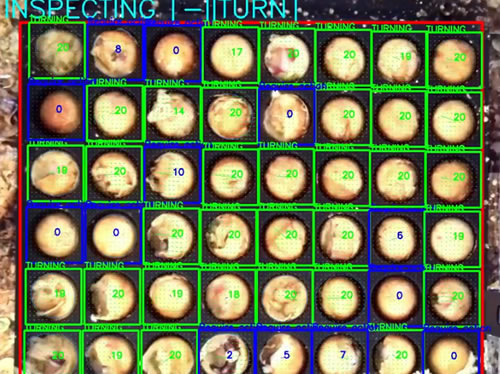 f:id:monte4423:20190919003036j:plain f:id:monte4423:20190919003036j:plain