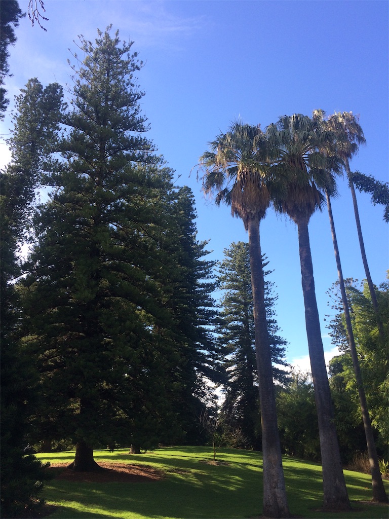 f:id:monteverde-aroma:20190809155146j:plain f:id:monteverde-aroma:20190809155146j:plain