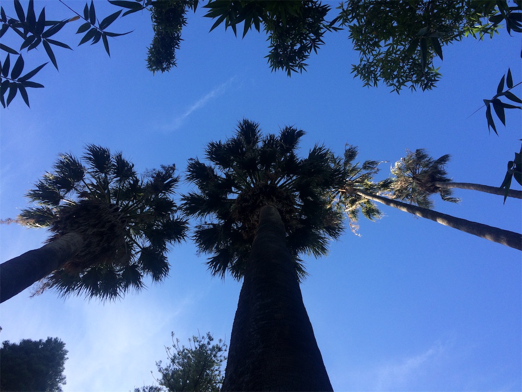 f:id:monteverde-aroma:20190811132615j:image f:id:monteverde-aroma:20190811132615j:image