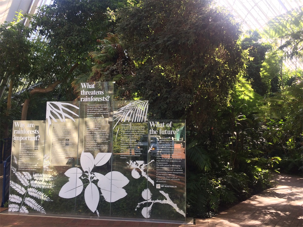 f:id:monteverde-aroma:20190811142658j:plain f:id:monteverde-aroma:20190811142658j:plain