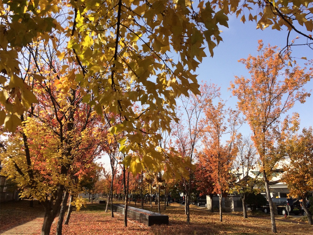 f:id:monteverde-aroma:20191125135607j:plain f:id:monteverde-aroma:20191125135607j:plain