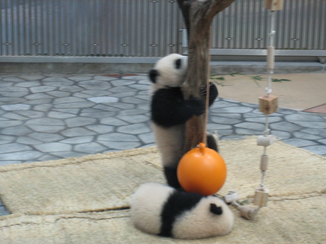 f:id:monteverde-aroma:20200420071832j:plain f:id:monteverde-aroma:20200420071832j:plain