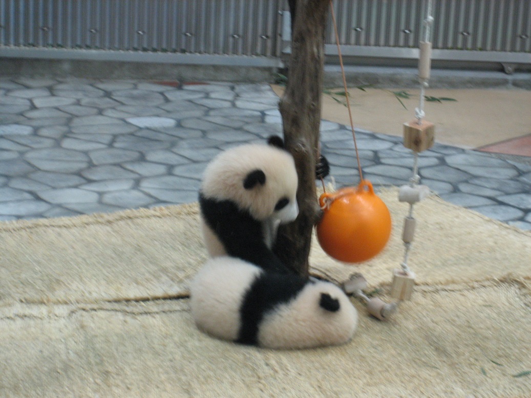 f:id:monteverde-aroma:20200420071855j:plain f:id:monteverde-aroma:20200420071855j:plain