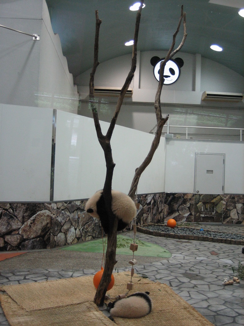 f:id:monteverde-aroma:20200420072123j:plain f:id:monteverde-aroma:20200420072123j:plain