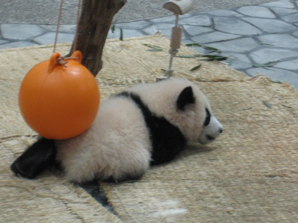 f:id:monteverde-aroma:20200420072227j:plain f:id:monteverde-aroma:20200420072227j:plain