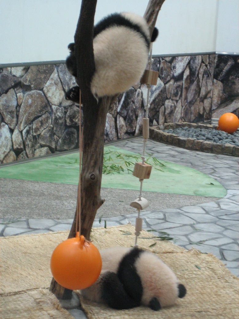 f:id:monteverde-aroma:20200420072327j:plain f:id:monteverde-aroma:20200420072327j:plain