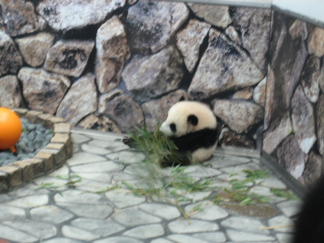 f:id:monteverde-aroma:20200420072624j:plain f:id:monteverde-aroma:20200420072624j:plain