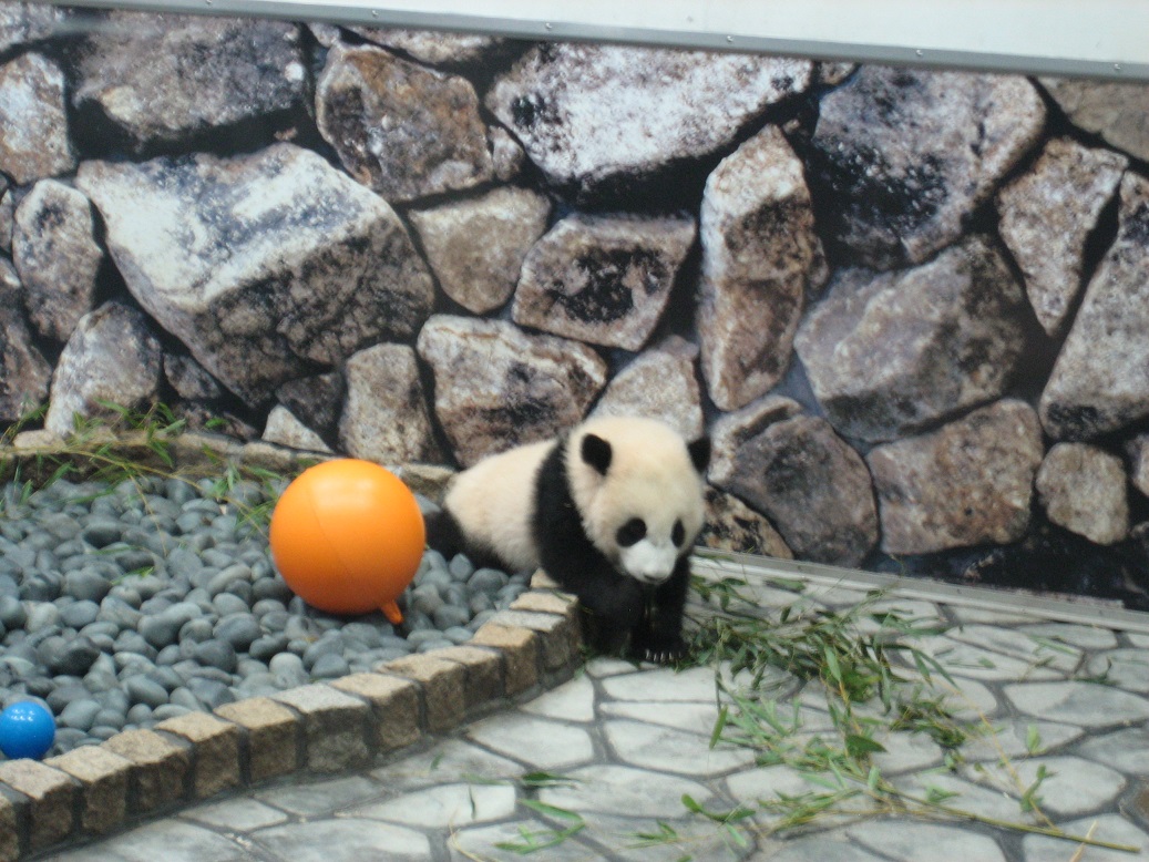 f:id:monteverde-aroma:20200420072653j:plain f:id:monteverde-aroma:20200420072653j:plain