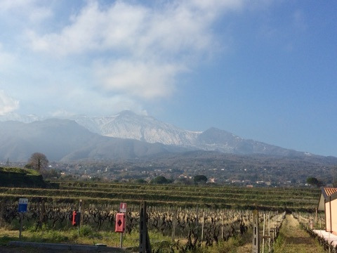 f:id:monteverde-aroma:20200425133858j:plain f:id:monteverde-aroma:20200425133858j:plain