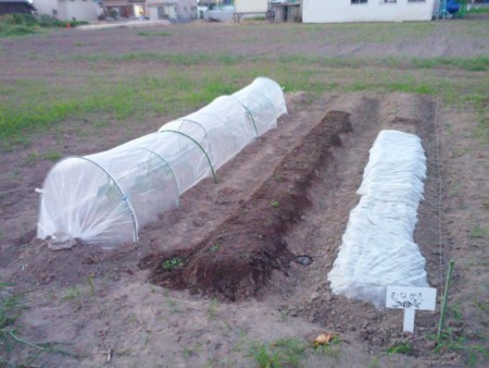 f:id:monyakata:20120819183514j:image:w200