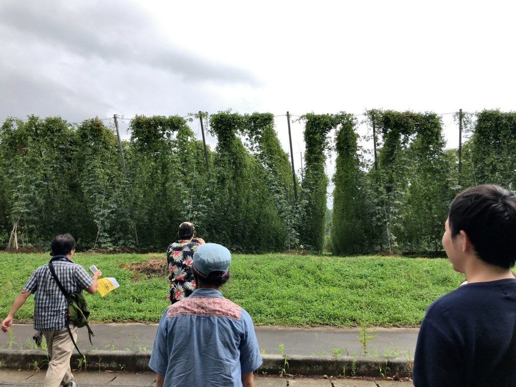 f:id:monyakata:20180903165529j:plain f:id:monyakata:20180903165529j:plain